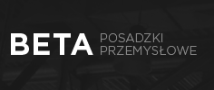 Strona www Posadzka przemysłowa Podkarpacie BETA SYSTEM Sp. z o.o.